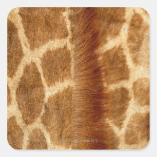 Pegatina Cuadrada Giraffe Fur
