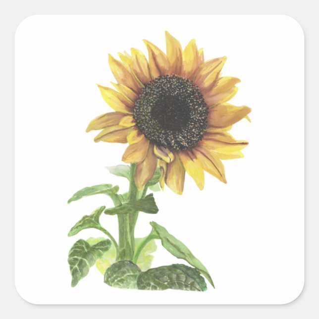 Pegatina Cuadrada Girasol (Anverso)