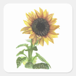 Pegatina Cuadrada Girasol