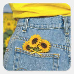 Pegatina Cuadrada Girasoles amarillos en el bolsillo de un pantalón