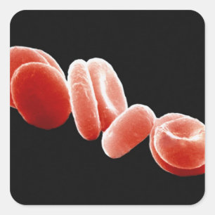 Pegatina Cuadrada Glóbulos rojos