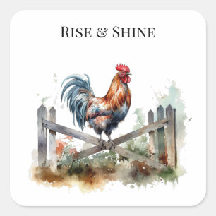 Pegatina Cuadrada Gloria de la Mañana: Gallo de Acuarela, personaliz