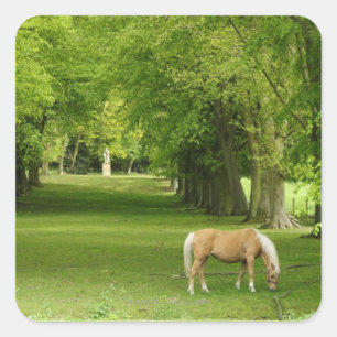 Pegatina Cuadrada Gloucestershire, Reino Unido