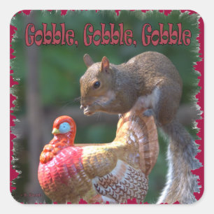 Pegatina Cuadrada Gobble