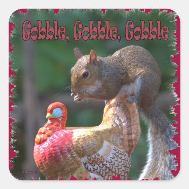 Pegatina Cuadrada Gobble (Anverso)