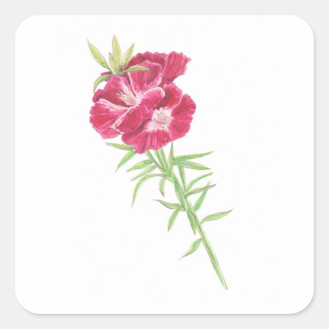 Pegatina Cuadrada Godetia  (Anverso)