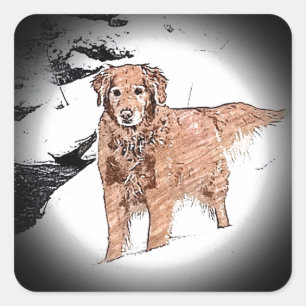 Pegatina Cuadrada Golden Retriever