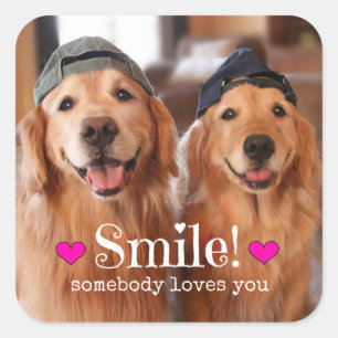 Pegatina Cuadrada Golden Retriever Alguien te ama