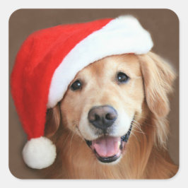 Pegatina Cuadrada Golden Retriever con Santa Hat