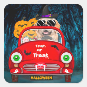 Pegatina Cuadrada Golden Retriever Dog Driing Car Sasuy Halloween