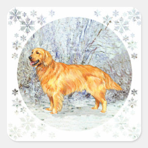 Pegatina Cuadrada Golden Retriever en Invierno