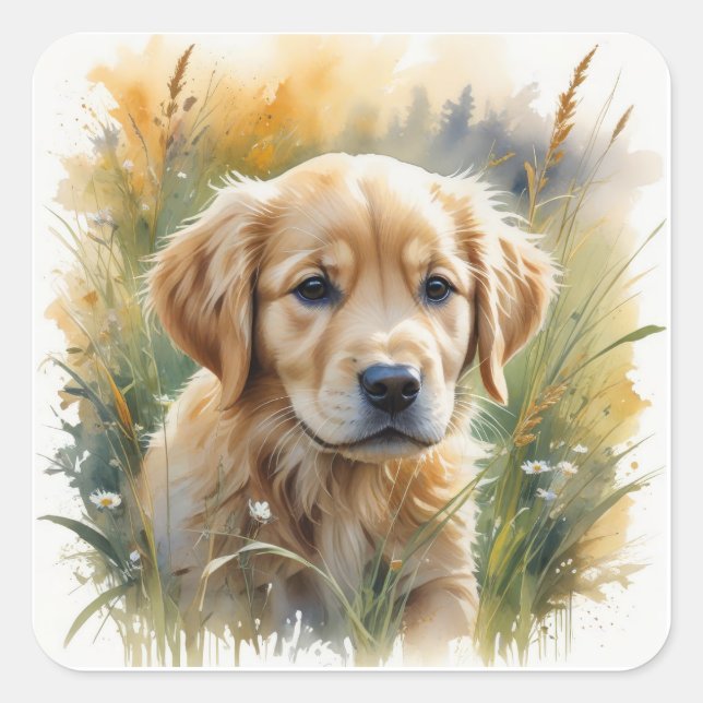 Pegatina Cuadrada Golden retriever puppy at sunset (Anverso)