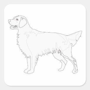Pegatina Cuadrada Golden Retriever Ready to Color Design