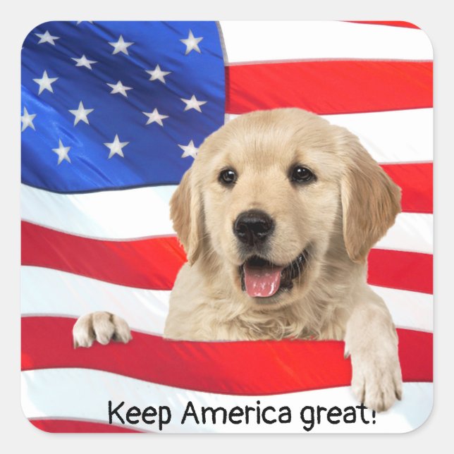 Pegatina Cuadrada Golden Retriever sobre la bandera de Estados Unido (Anverso)