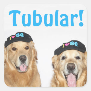 Pegatina Cuadrada Golden Retriever Tubular 80