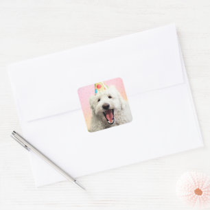 Pegatina Cuadrada Goldendoodle Con Fiesta Gorra