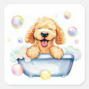 Pegatina Cuadrada Goldendoodle Dog