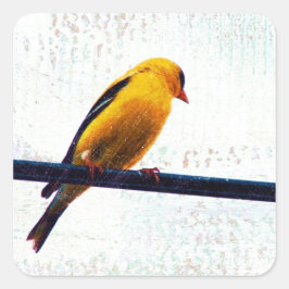 Pegatina Cuadrada Goldfinch en una línea de energía