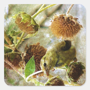 Pegatina Cuadrada Goldfinch y Sunflowers