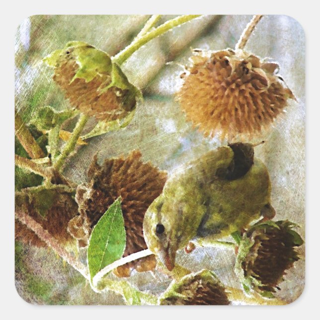 Pegatina Cuadrada Goldfinch y Sunflowers (Anverso)