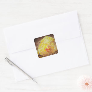 Pegatina Cuadrada Goldie los Pegatinas de pollo