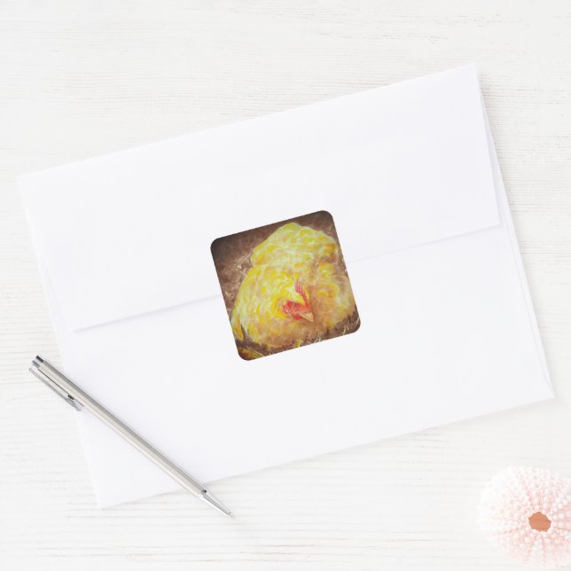 Pegatina Cuadrada Goldie los Pegatinas de pollo (Sobre)