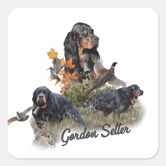 Pegatina Cuadrada Gordon Setter (Anverso)
