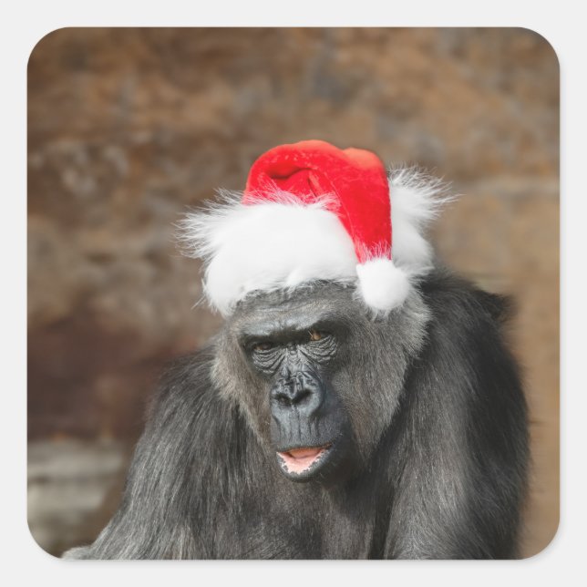Pegatina Cuadrada Gorilla Biddy in a Festive Christmas Hat (Anverso)
