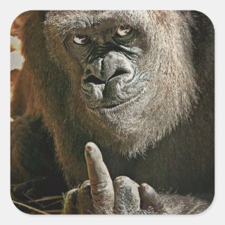 Pegatina Cuadrada Gorilla Finger