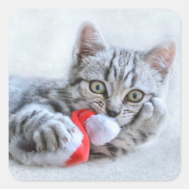 Pegatina Cuadrada Gorra Cute Cat y Santa Claus (Anverso)