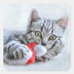 Pegatina Cuadrada Gorra Cute Cat y Santa Claus