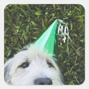 Pegatina Cuadrada Gorra de perros con fiesta