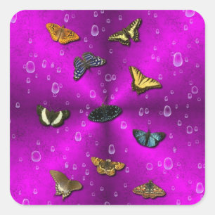 Pegatina Cuadrada Gotas de lluvia y mariposa en arcoiris rosado