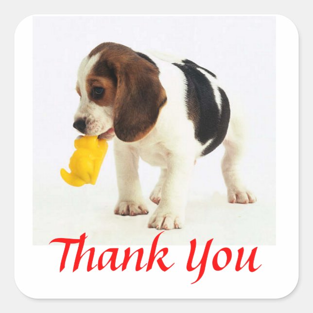 Pegatina Cuadrada Gracias A Beagle Puppy Dog Saludando A Los Pegatin (Anverso)