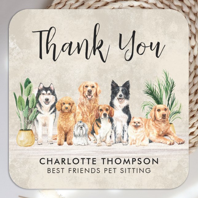 Pegatina Cuadrada Gracias Boho Puppy Dogs Mascota Sitter Dog Groomer (Subido por el creador)