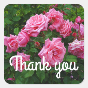 Pegatina Cuadrada Gracias Gene Boerner Rosa #2 Pegatinas