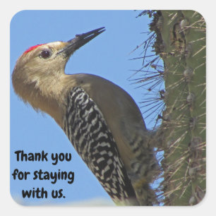 Pegatina Cuadrada Gracias Gila Woodpecker Photo House Guest House