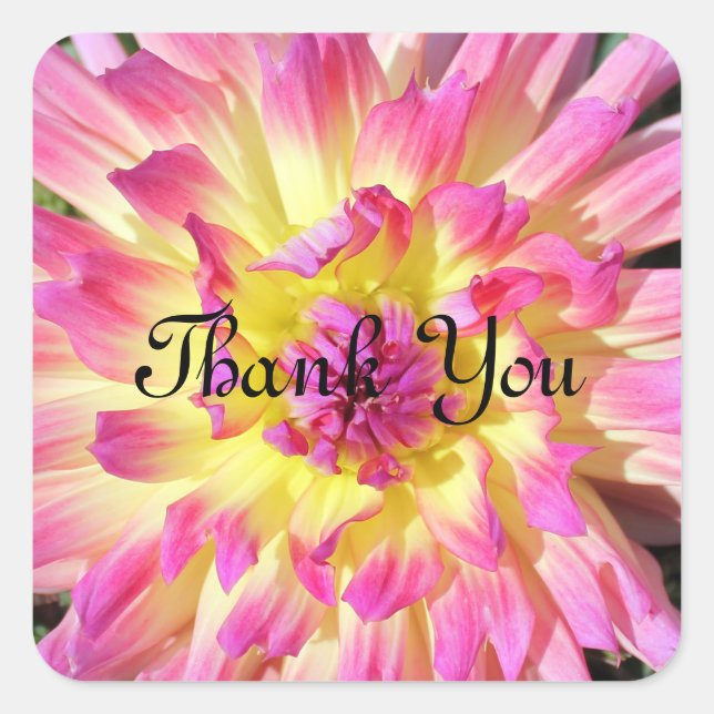 Pegatina Cuadrada Gracias pegatinas (Anverso)