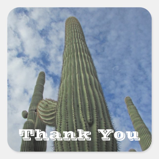 Pegatina Cuadrada Gracias Saguaro Cactus Blue Sky Apreciación (Anverso)