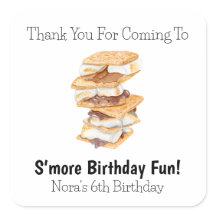 Gracias S'mores realistas 6 cumpleaños