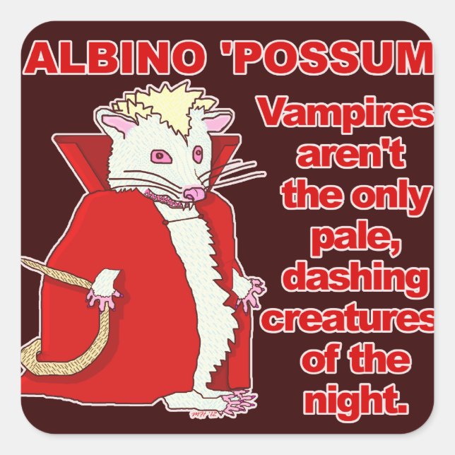 Pegatina Cuadrada Gracioso Albino Possum Vampire Animal (Anverso)