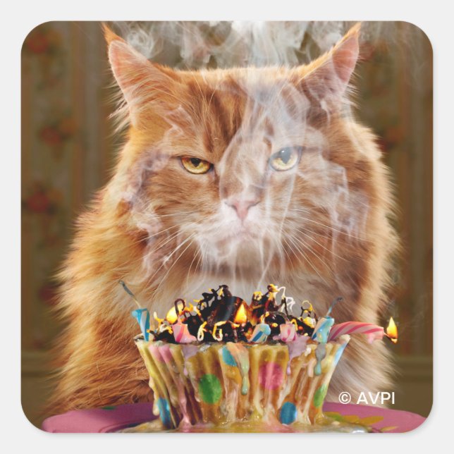 Pegatina Cuadrada Gracioso Gato Cranky Con Pastel De Cumpleaños Fund (Anverso)