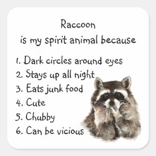 Pegatina Cuadrada Gracioso Raccoon Spirit Animal Humor