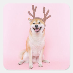 Pegatina Cuadrada gracioso shiba inu vestido con navidades disfraz d