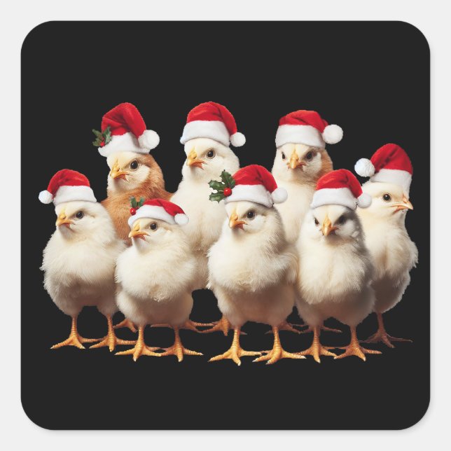 Pegatina Cuadrada Graciosos Navidades de pollo, regalo de amante de  (Anverso)