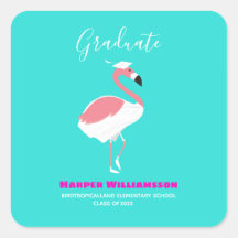 Graduación azul brillante rosa Flamingo
