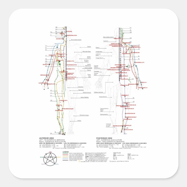 Pegatina Cuadrada Gráfico de meridianos humanos (Anverso)