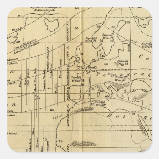 Pegatina Cuadrada Gráfico isotérmico (Anverso)