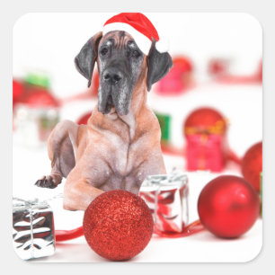 Pegatina Cuadrada Gran Danés con Adornos de Navidad Regalos