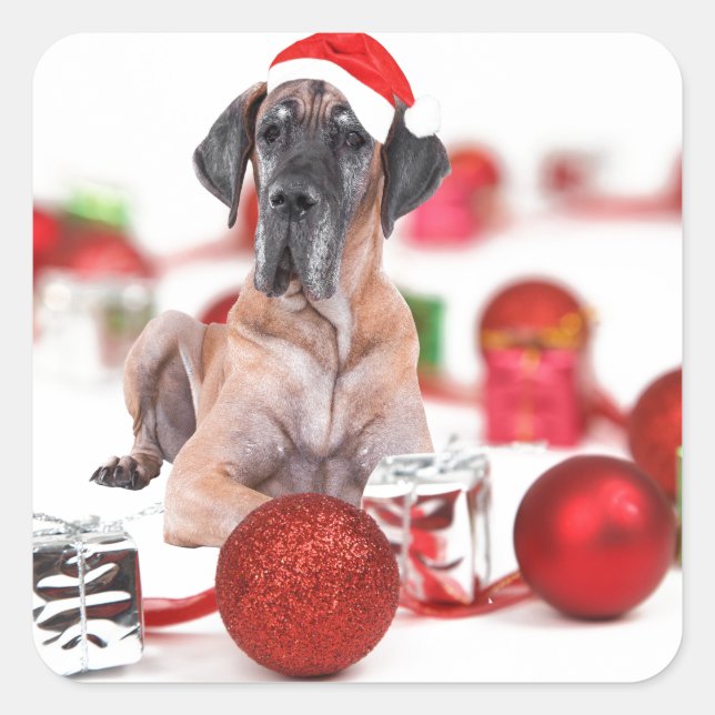 Pegatina Cuadrada Gran Danés con Adornos de Navidad Regalos (Anverso)